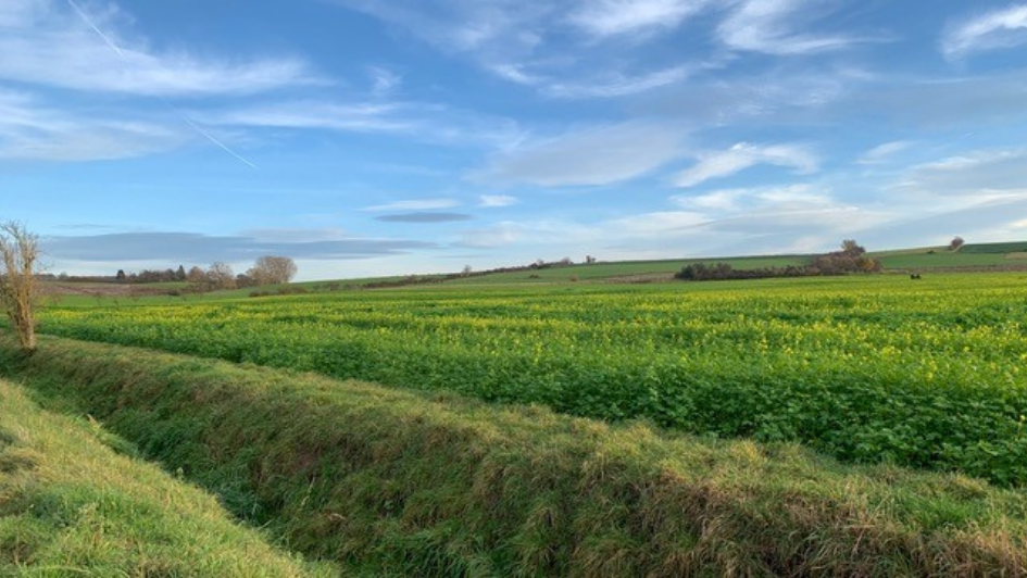 Blick auf die Diemardener Warte